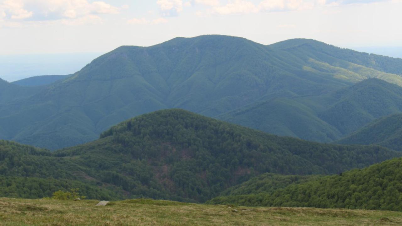 Hanul Vanatorului Gureni Exterior foto